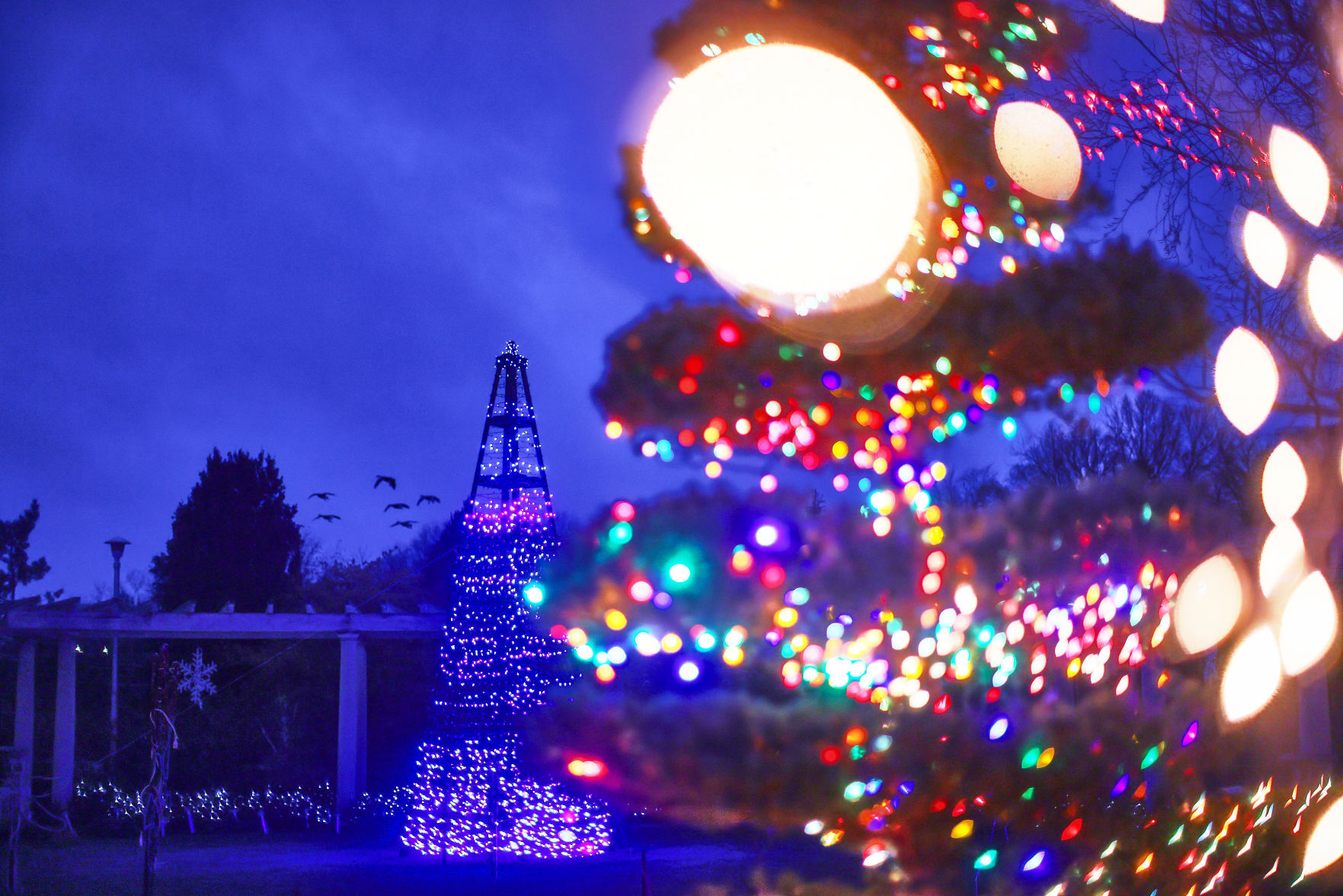 JVG_211121_LIGHTS10